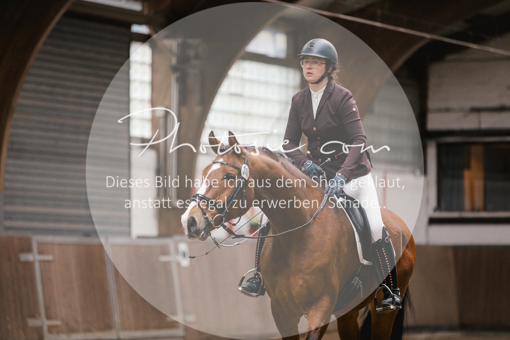 3I6A6906 | Stimmungsvolle Portraits und Reitsportfotografie im Ruhrgebiet und im Münsterland.

Pferdefotografie, Hundefotografie, Tierfotografie, Reportagen, Portraits von Tier und Mensch, Turnierfotografie in Bochum, Recklinghausen, Marl, Haltern am See, Dülmen.. - Realisiert mit Pictrs.com