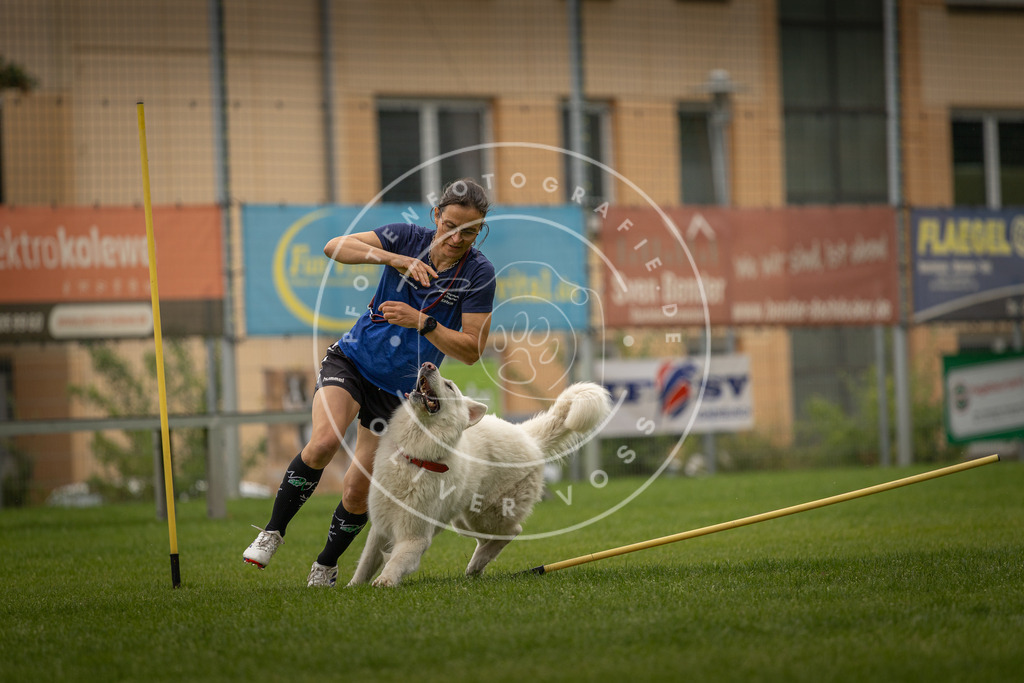 Pfotenfotografie_DV3A7938 | Hundefotografie, Tierfotograf, Pfotenfotografie, Fotoshooting Hund, Hunde Portrait, Hundesport, Hundeportraits, Heideshooting, Hunde, Sportfotograf, Hundefotograf, Turnierhundsport, THS,  - Realisiert mit Pictrs.com