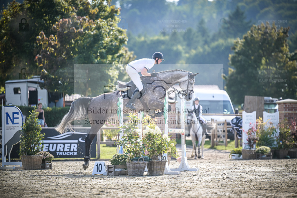 DOS_0384 | Entdecke hochwertige Reitturnierfotos von Foto Oger. Professionell, emotional und authentisch – jetzt Lieblingsmomente im Shop bestellen. - Realisiert mit Pictrs.com