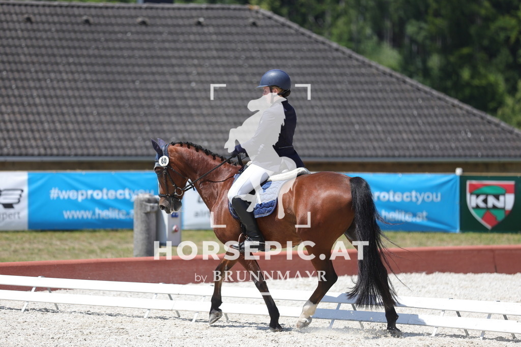 0P6A6323 | Willkommen bei Brunnmayr - Design & Fotografie – Ihrem Spezialisten für Reitturniere und Pferdeveranstaltungen in Oberösterreich, Salzburg und Bayern! Seit über 17 Jahren sind wir leidenschaftlich dabei.