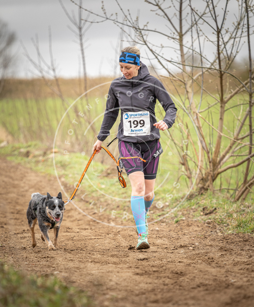 DV3A2408 | Hundefotografie, Tierfotograf, Pfotenfotografie, Fotoshooting Hund, Hunde Portrait, Hundesport, Hundeportraits, Heideshooting, Hunde, Sportfotograf, Hundefotograf, Turnierhundsport, THS,  - Realisiert mit Pictrs.com