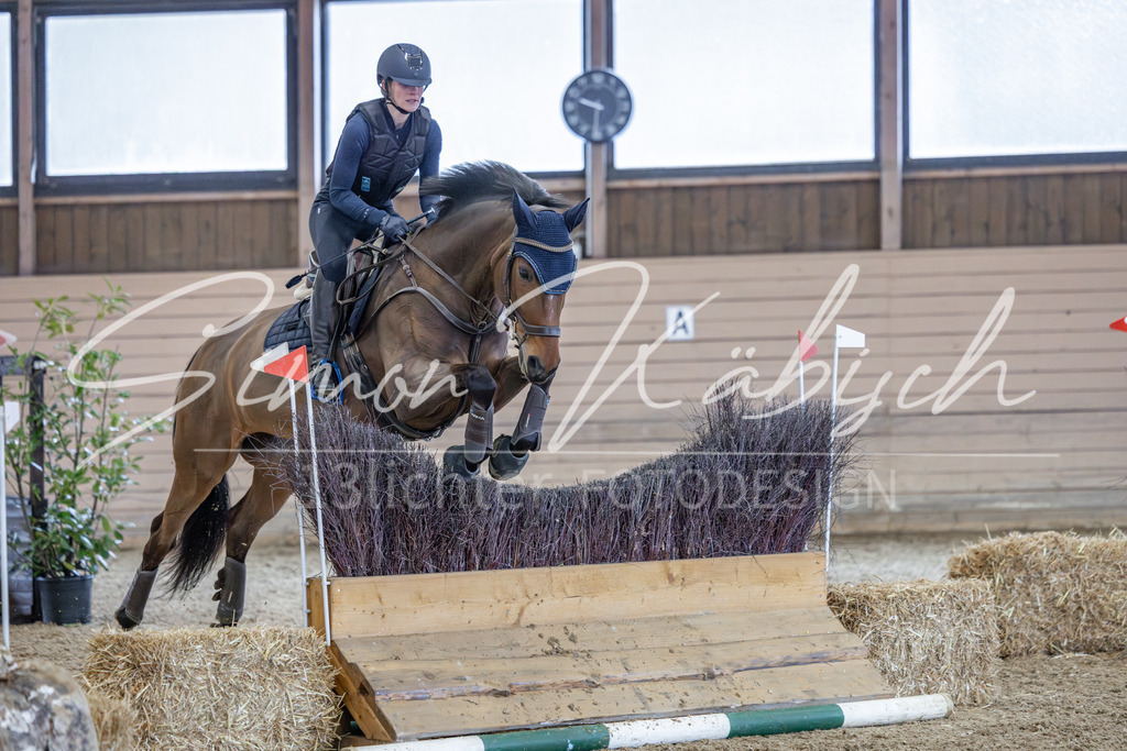 20260221-_3LI9207 | Tierfotografie Pferde, Hunde, Katzen, Haustiere.
Turnierfotografie Reitturniere, Reiten, Springreiten, Dressur in Hanau, dem Main-Kinzig-Kreis und dem Rhein-Main- Gebiet um Frankfurt