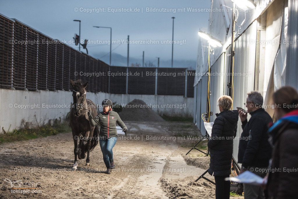 WEB_20241114_Vetcheck_TOMsPiC_0015 | Foto: Thomas Hartig