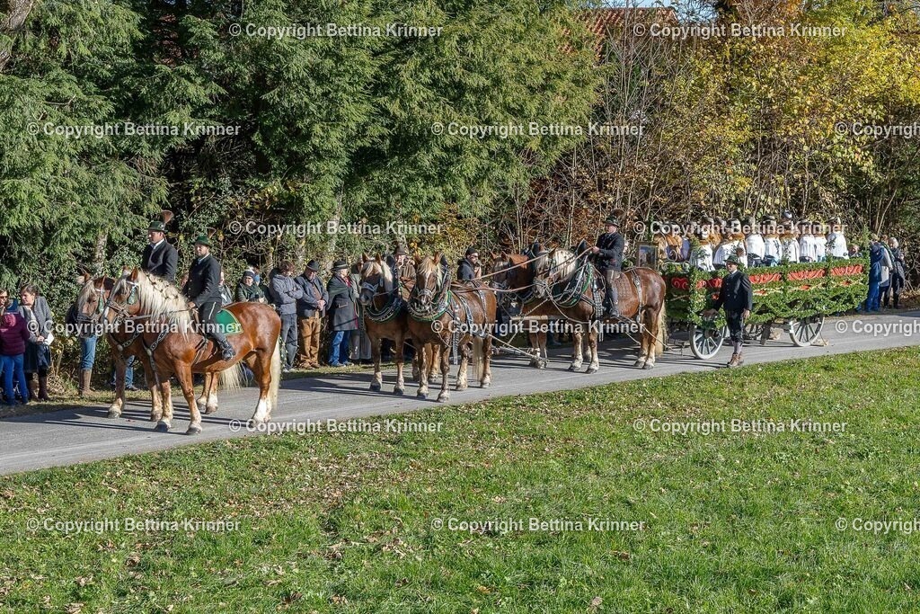 LBT25-243 | foto-bettina-krinner - Realisiert mit Pictrs.com