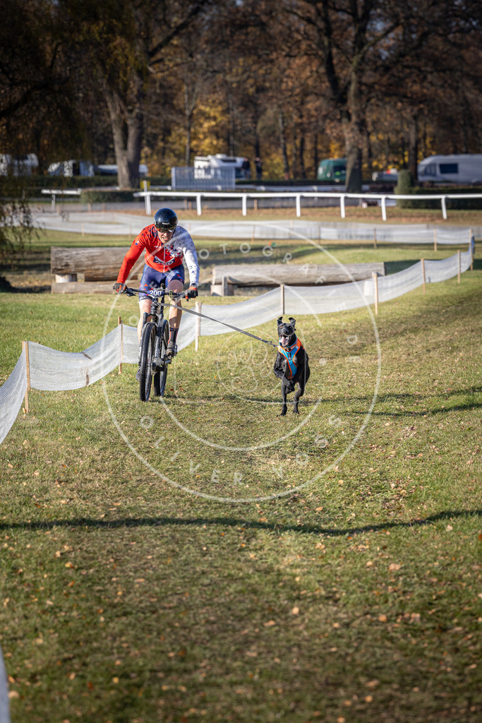 CaniXpix_DV3A2715 | Hundefotografie, Tierfotograf, Pfotenfotografie, Fotoshooting Hund, Hunde Portrait, Hundesport, Hundeportraits, Heideshooting, Hunde, Sportfotograf, Hundefotograf, Turnierhundsport, THS,  - Realisiert mit Pictrs.com