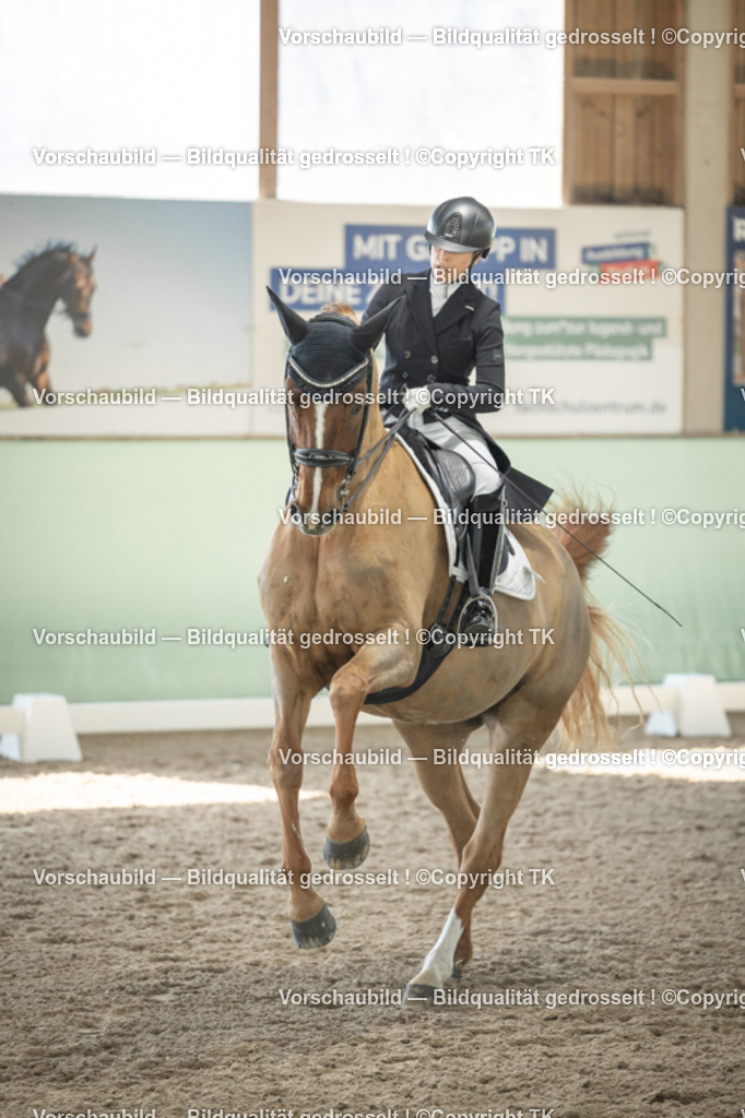 _D5A1392 | Emotionale Pferde- & People-Fotografie rund um Heidelberg, Leimen & Umgebung. Natürliche Fotos von Pferd, Mensch & Familie. Jetzt Termin sichern!