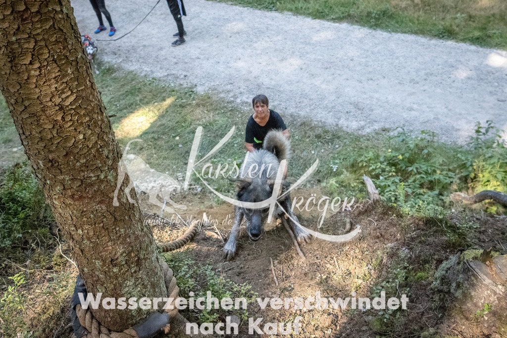 1137_ZZ91067 | kk-dogfotos