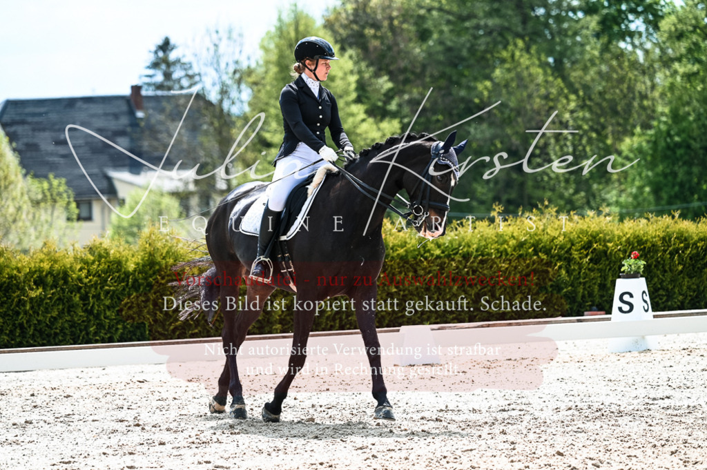 20230513_JK-Röhrsdorf-10-0795 | Pferde- und Turnierfotografie in Westsachsen. Pferdeportraits, Auftragszeichnungen und intuitive Kunst.