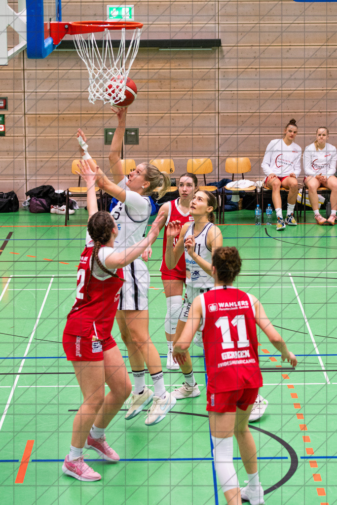 2. DBBL Nord 24/25 | 17.11.2024 | BBC OS vs. BG 89 AVIDES Hurricanes | 2. DBBL Nord 24/25 | 17.11.2024 | BBC OS vs. BG 89 AVIDES Hurricanes - - - - - CREDIT, www.bullenfotos.de, Martin König, Hörner Weg 40, D-49078 Osnabrück, +4917663732967, Nutzung und Weitergabe nur zu den vereinbarten Zwecken. Presseanfragen an Urheber. Alle Rechte beim Urheber. - - - - - - Realisiert mit Pictrs.com