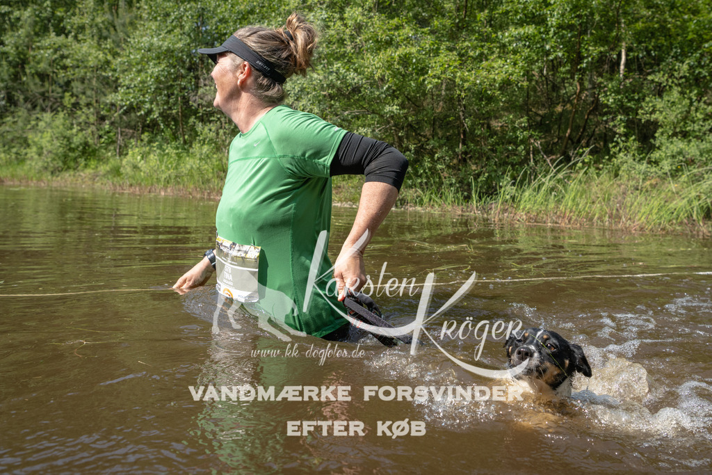 1058DKK991762 | kk-dogfotos