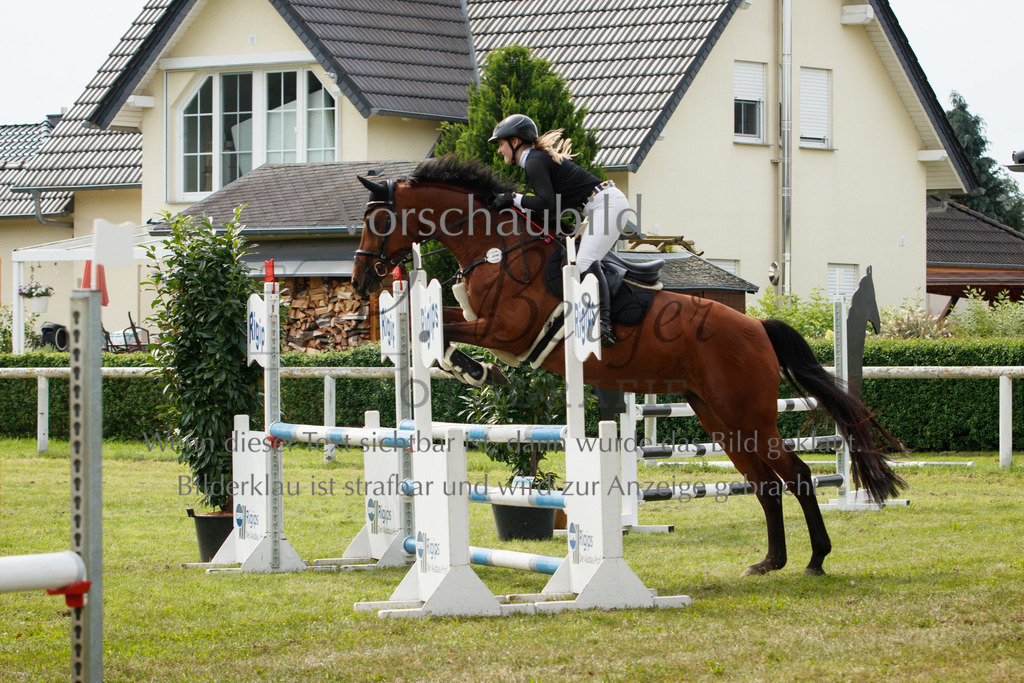 IMG_2854 | P. Berger Fotografie - Realisiert mit Pictrs.com