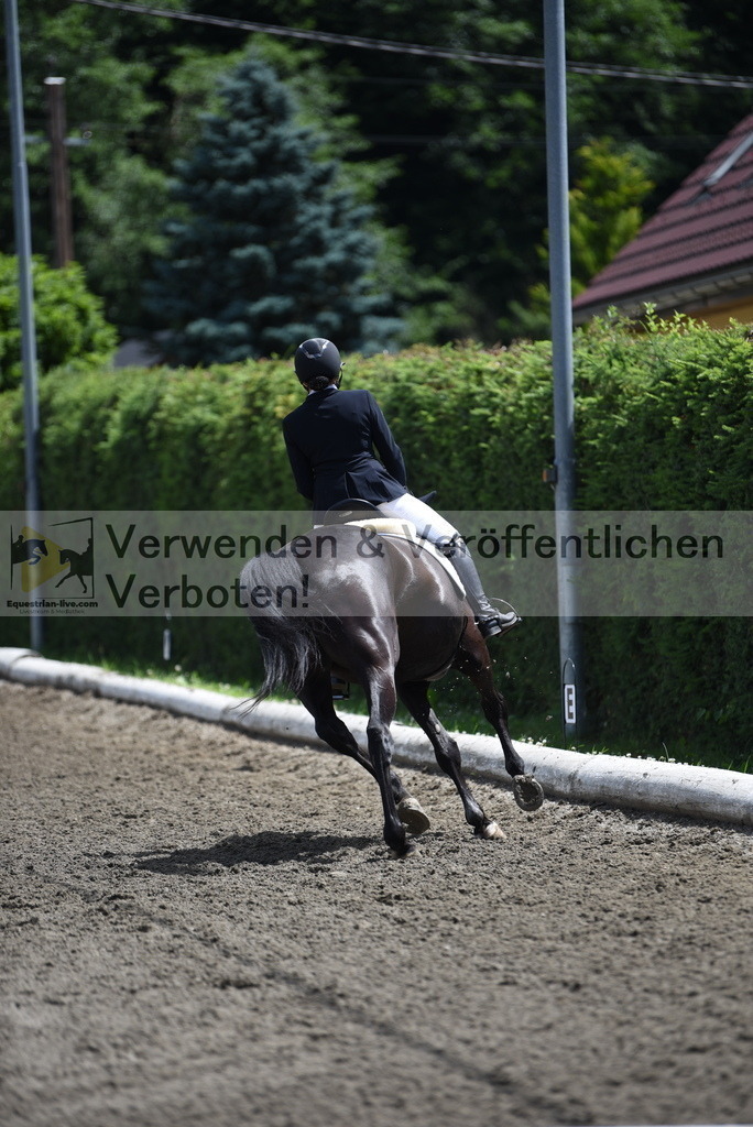 DSC_1353 | equestrian-live-com