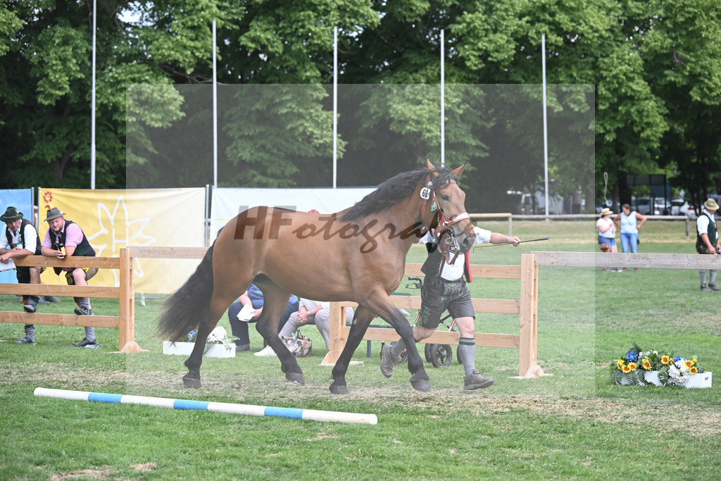 Kat-Nr. 68 Premisse_Gasteiger_20231120 | hf-fotografie - Realisiert mit Pictrs.com