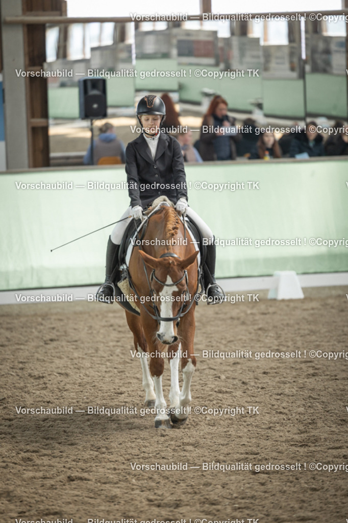 _D5A5562 | Emotionale Pferde- & People-Fotografie rund um Heidelberg, Leimen & Umgebung. Natürliche Fotos von Pferd, Mensch & Familie. Jetzt Termin sichern!