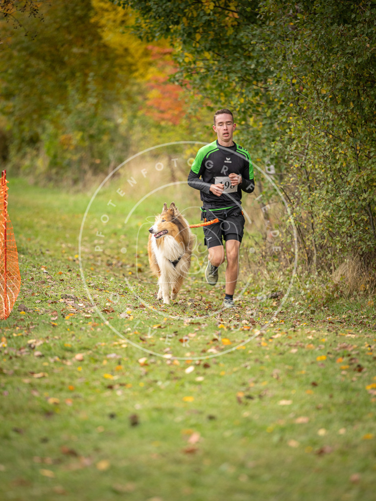 Pfotenfotografie_DV3A3823 | Hundefotografie, Tierfotograf, Pfotenfotografie, Fotoshooting Hund, Hunde Portrait, Hundesport, Hundeportraits, Heideshooting, Hunde, Sportfotograf, Hundefotograf, Turnierhundsport, THS,  - Realisiert mit Pictrs.com