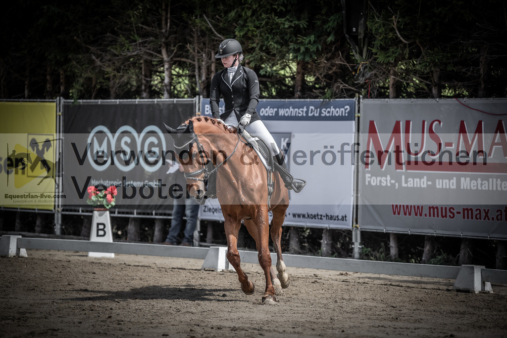 DSC_0765 | equestrian-live-com