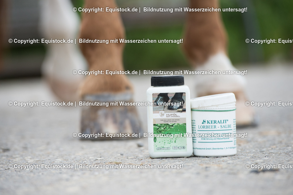 20160626_Hufpflege_0005 | Foto: Thomas Hartig