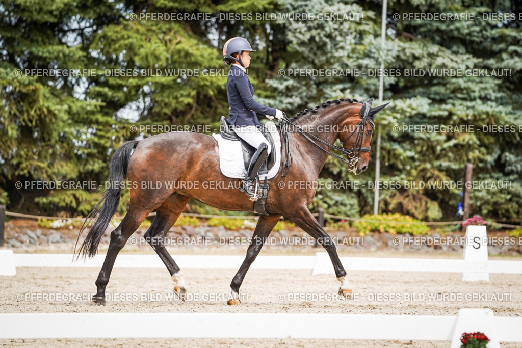 DSC05520 | Pferdegrafie