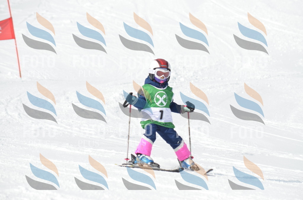 D8448 | holidayphoto