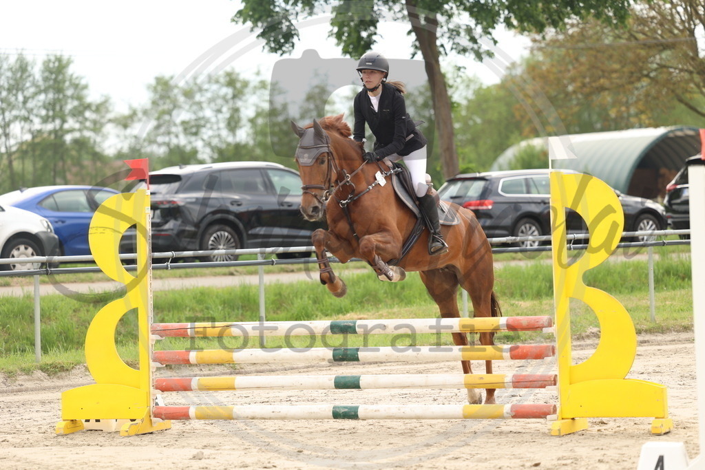 994A8164 | sabrinanicolaifotografie - Realisiert mit Pictrs.com