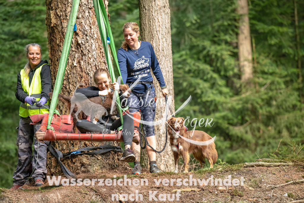 1107_ZZ94116-Bearbeitet | kk-dogfotos
