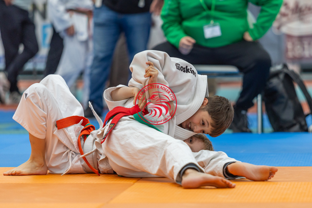 Internationaler Adler Cup 2024 | Foto vom Internationalen Adler Cup Judo Turnier im Sport- und Freizeitzentrum Kalbach im Oktober 2024 - Realisiert mit Pictrs.com