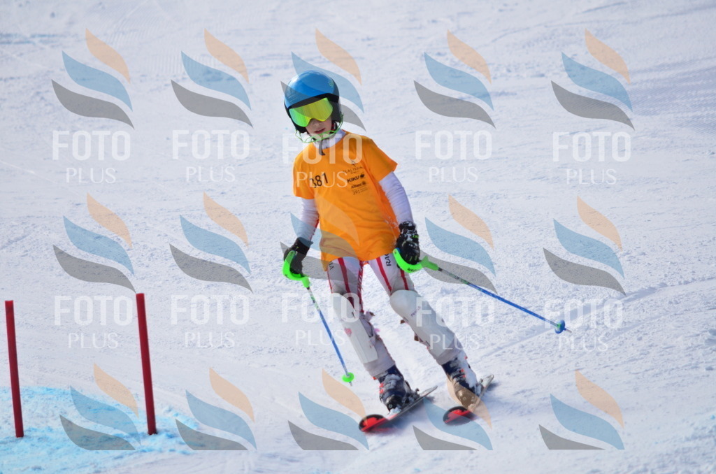 C8769 | holidayphoto