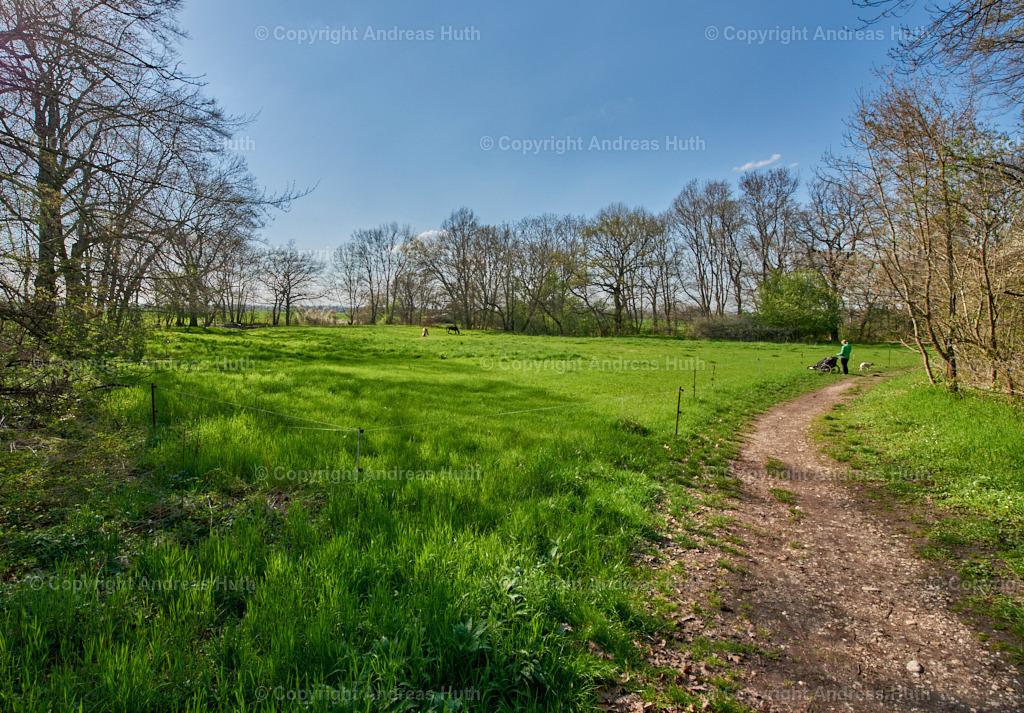 Im NSG _Pfarrholz_ Groitzsch 03 | Bedeutsame Landschaften Deutschlands - Realisiert mit Pictrs.com
