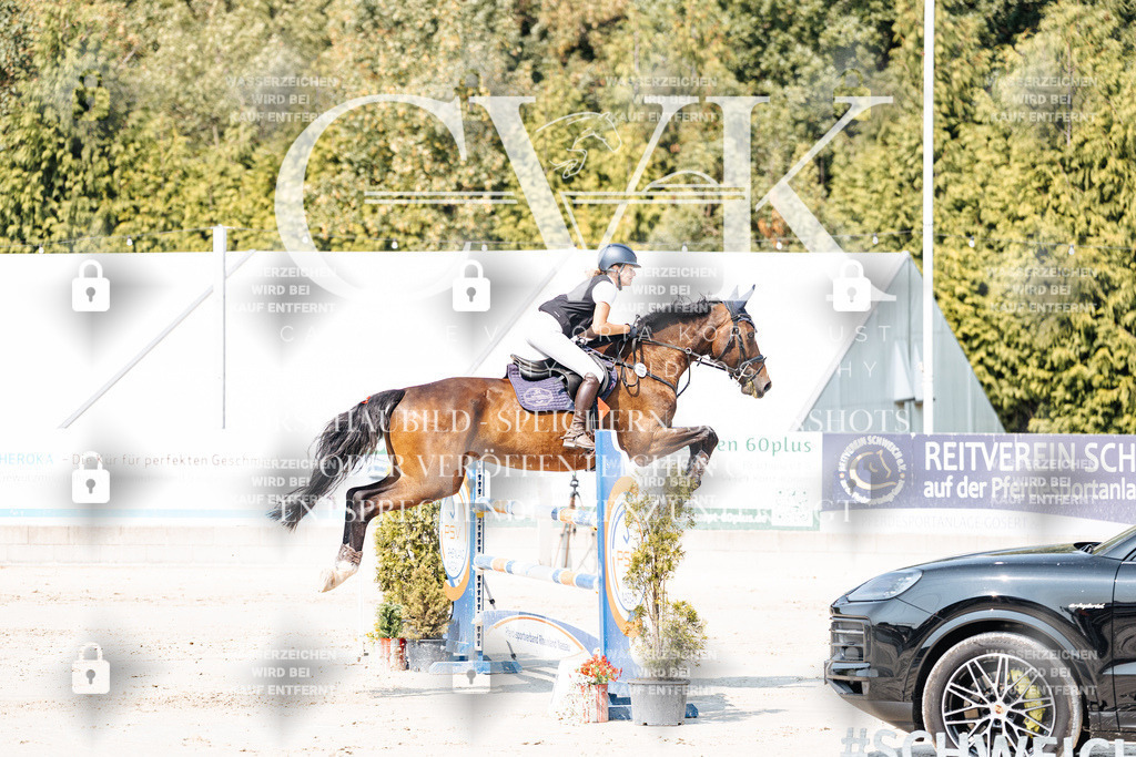 CK901640 | Turnierfotografie Pferdefotografie Trier Rheinland-Pfalz Pferdesport Reitsport Tierfotografie Sportfotografie Pferdevideo Pferdevideografie Equestrianvideography equestrianphotography  - Realisiert mit Pictrs.com