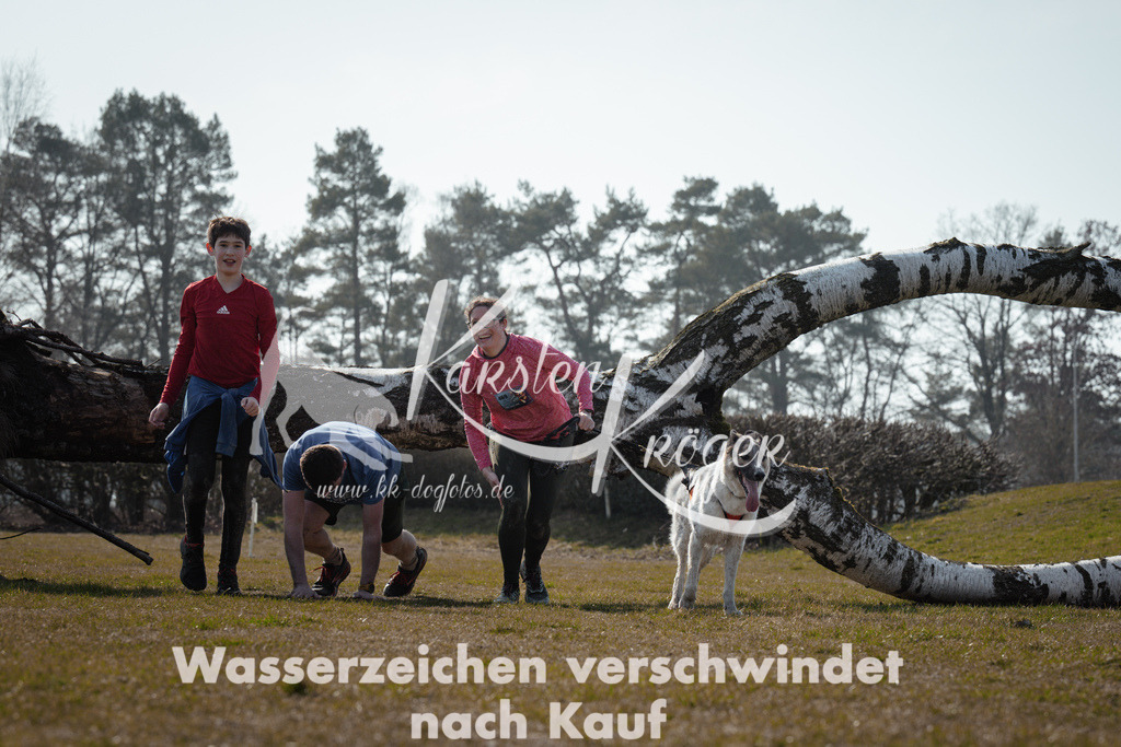 1137_ZZ95440 | kk-dogfotos