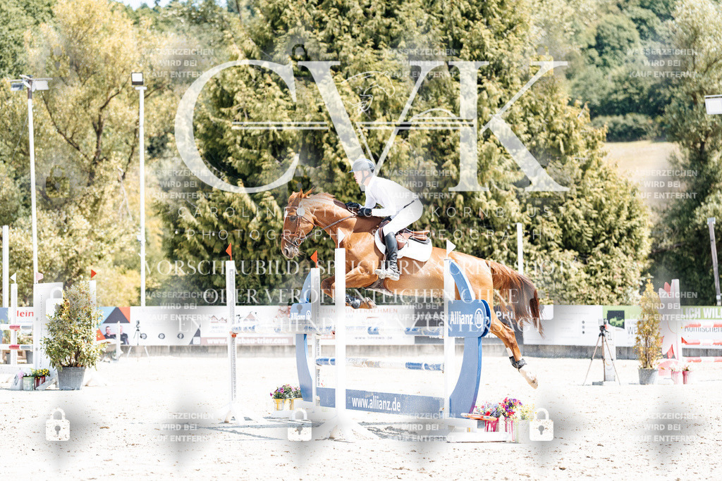 CK900689 | Turnierfotografie Pferdefotografie Trier Rheinland-Pfalz Pferdesport Reitsport Tierfotografie Sportfotografie Pferdevideo Pferdevideografie Equestrianvideography equestrianphotography  - Realisiert mit Pictrs.com