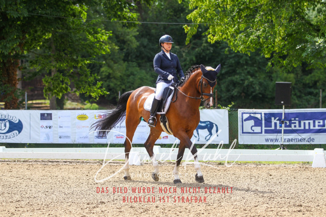 DKP42007 | Turniersportfotografie; Pferdefotografie; Dressurfotografie