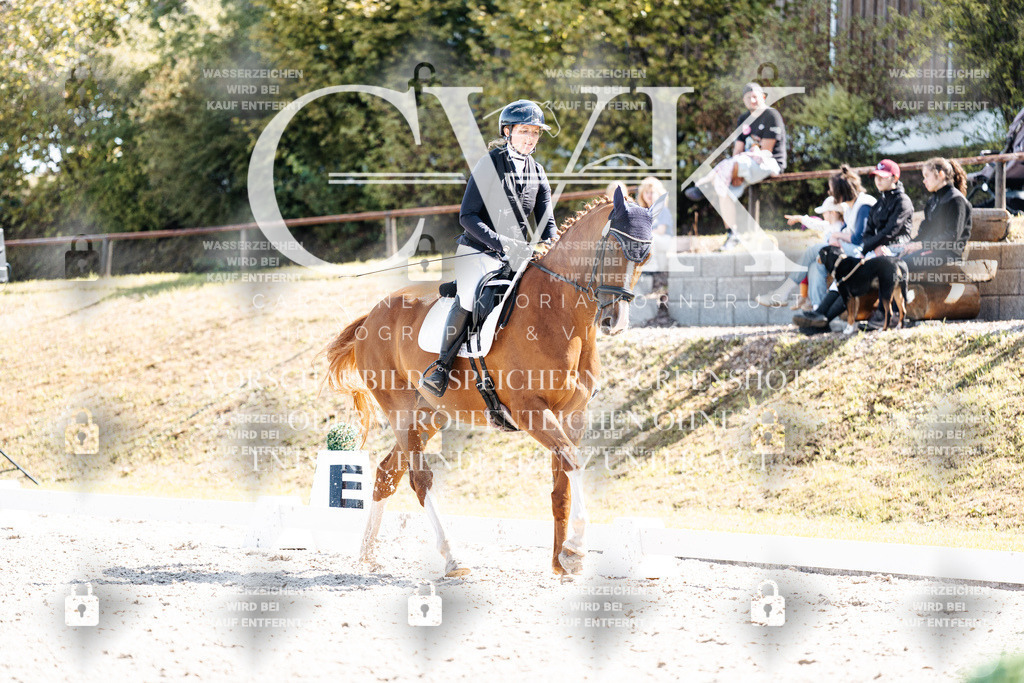 CK903235 | Turnierfotografie Pferdefotografie Trier Rheinland-Pfalz Pferdesport Reitsport Tierfotografie Sportfotografie Pferdevideo Pferdevideografie Equestrianvideography equestrianphotography  - Realisiert mit Pictrs.com