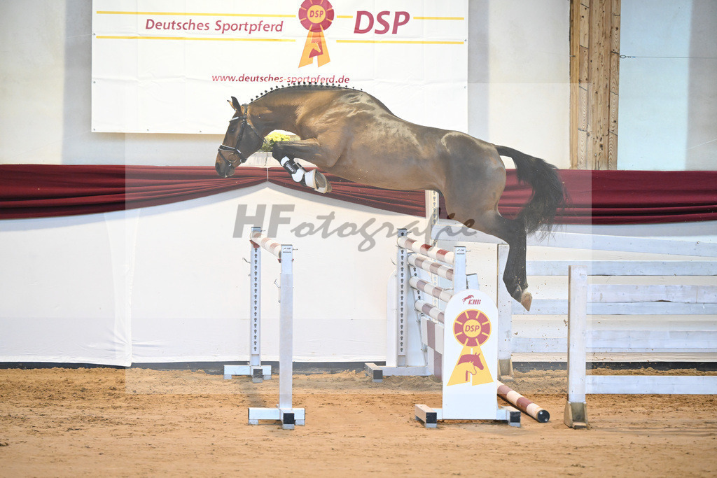 Kat-Nr. 24 v. Don VHP Z_Schwinghammer_66221312 | hf-fotografie - Realisiert mit Pictrs.com