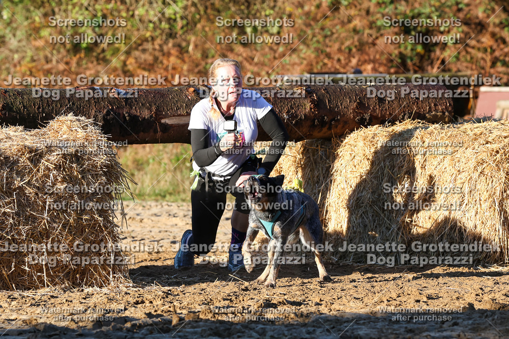 Dog Paparazzi - Strongdog 10-25-1035 | Dog Paparazzi Jeanette Grottendiek Fotografie & Videografie - Realisiert mit Pictrs.com