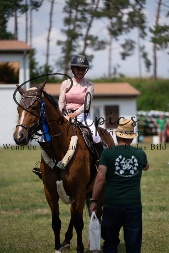 A7V07369 | Pferdefotograf