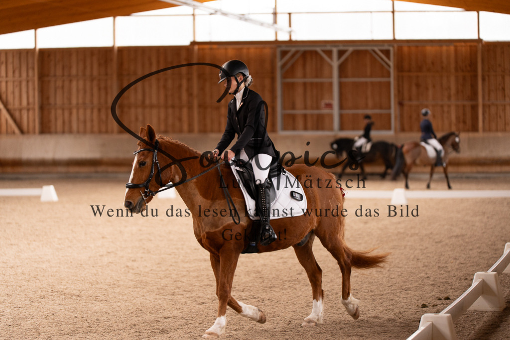 A7506952 | Turnier/Reitfotograf