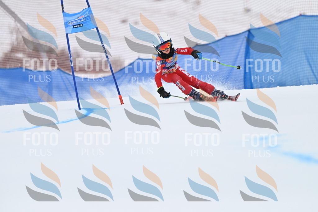 BGV_2847 | holidayphoto