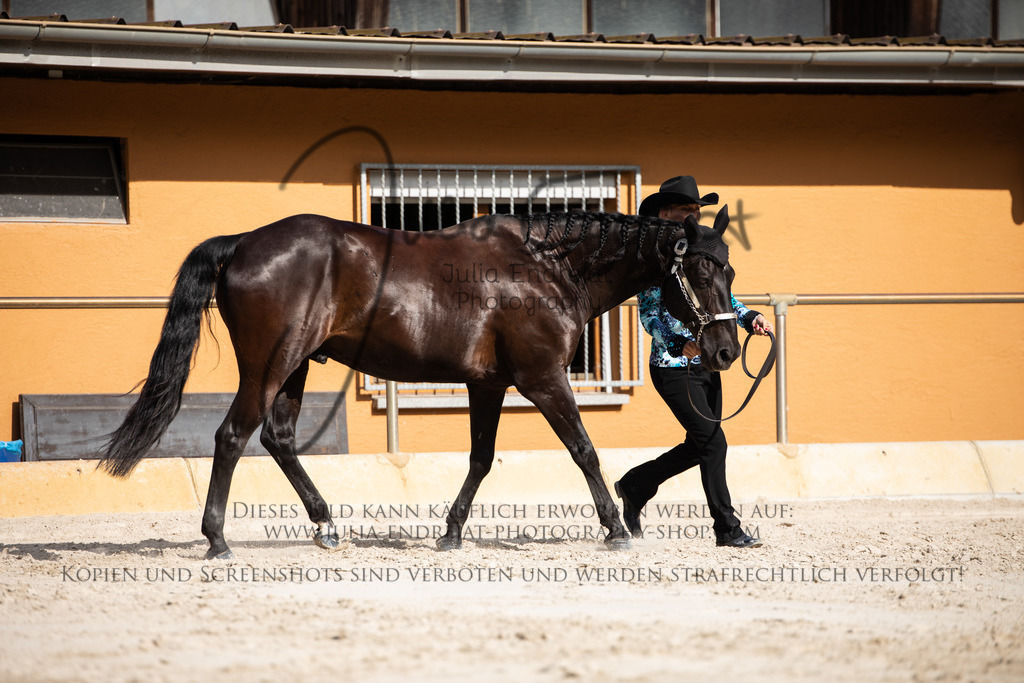 20220623-JuliaEndrejatPhotography-0878 | Julia Endrejat Photography