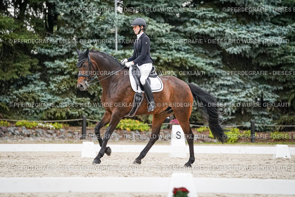 DSC09699 | Pferdegrafie