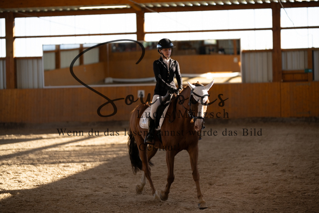 A7V01701 | Turnier/Reitfotograf