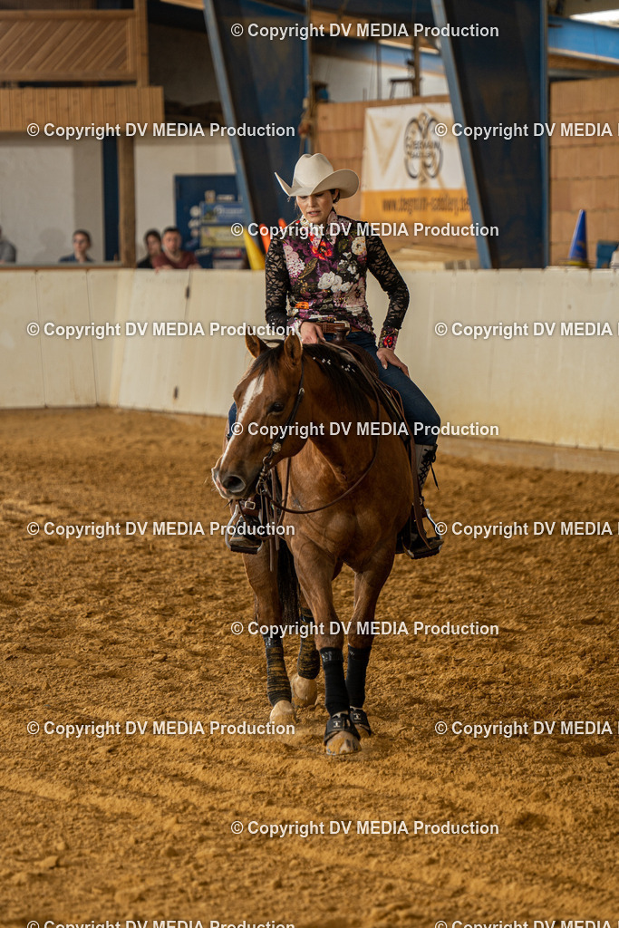 MIT01365 | dv-media-shop - Realisiert mit Pictrs.com