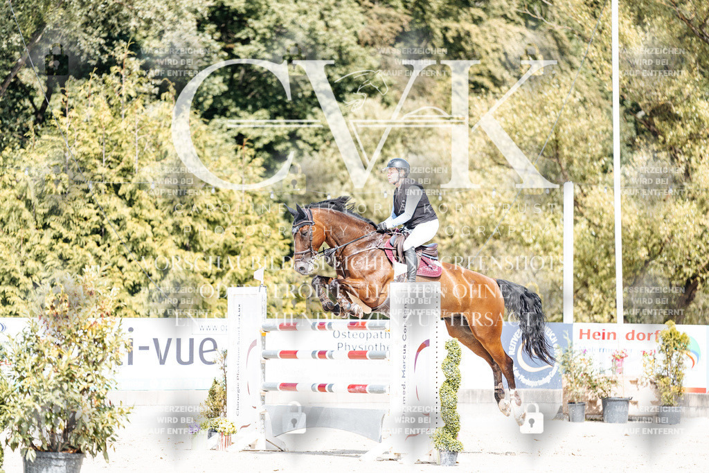 CK905027 | Turnierfotografie Pferdefotografie Trier Rheinland-Pfalz Pferdesport Reitsport Tierfotografie Sportfotografie Pferdevideo Pferdevideografie Equestrianvideography equestrianphotography  - Realisiert mit Pictrs.com