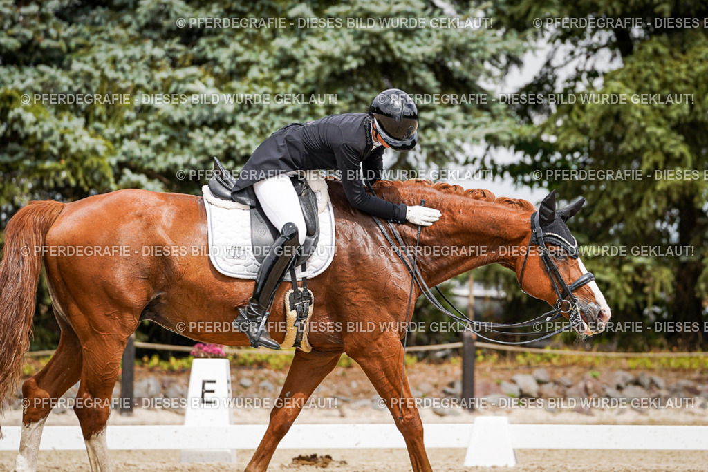 DSC05808 | Pferdegrafie