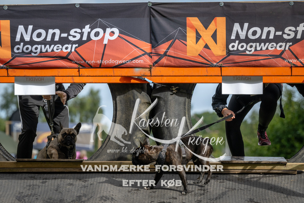 1029_ZZ91058 | kk-dogfotos