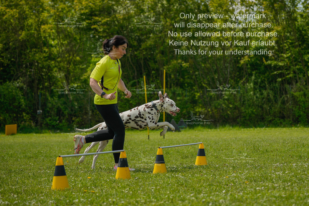 Sa_Laeufe_VK1und2_04-55 | stephaniefillaphotographie - Realisiert mit Pictrs.com
