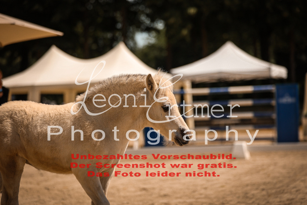 05.DoF00049 | Leoni Ertmer Photography - Realisiert mit Pictrs.com