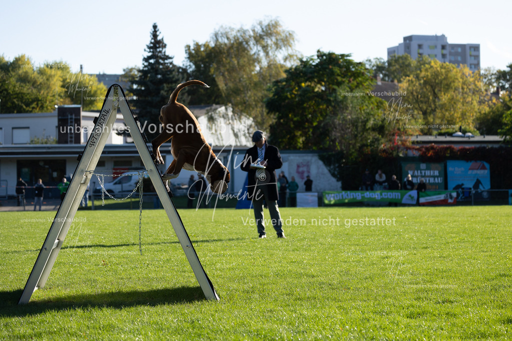 _16A4867 | Einzigartige Fotos von Hunden & Menschen –Actionfotos, Portraits, Vereinsaufnahmen & Paarshootings – authentisch, lebendig & mit Herz.