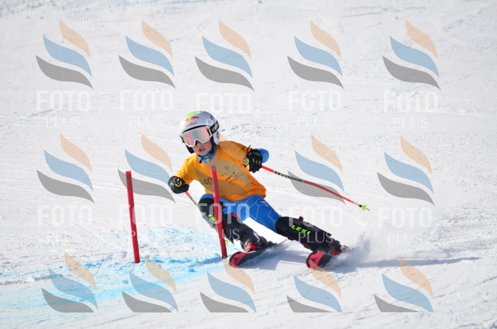 C6526 | holidayphoto