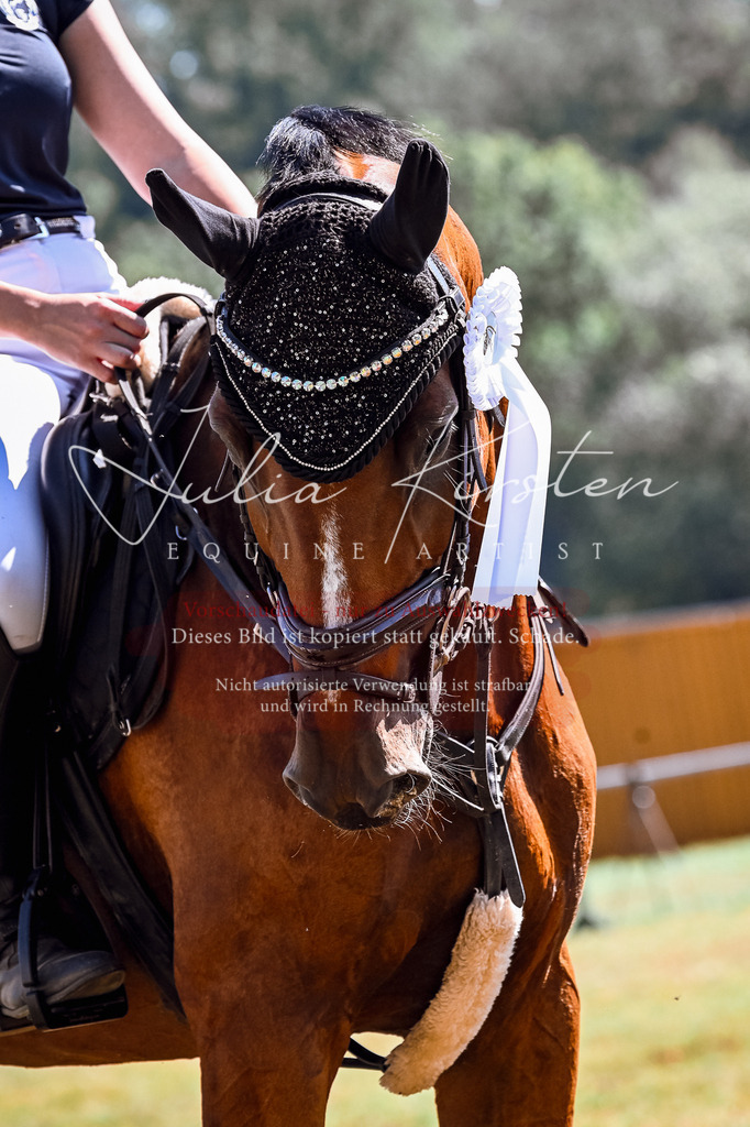 DSC_6494 | Pferde- und Turnierfotografie in Westsachsen. Pferdeportraits, Auftragszeichnungen und intuitive Kunst.